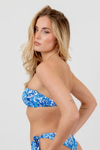 Fascia Basic