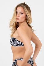 Fascia Basic