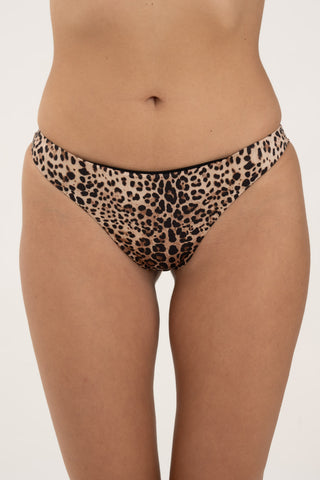 Brasiliana Bahamas Maculato