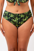Amazon Briefs